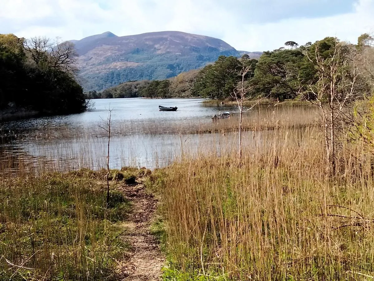 Larkfield House B&B, Ballycasheen Kerry V93 Wd51 Killarney
