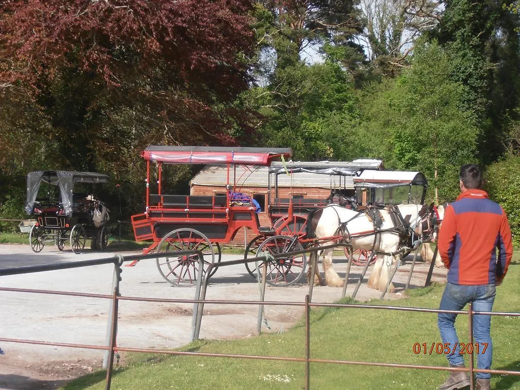 Larkfield House B&B, Ballycasheen Kerry V93 Wd51 Killarney
