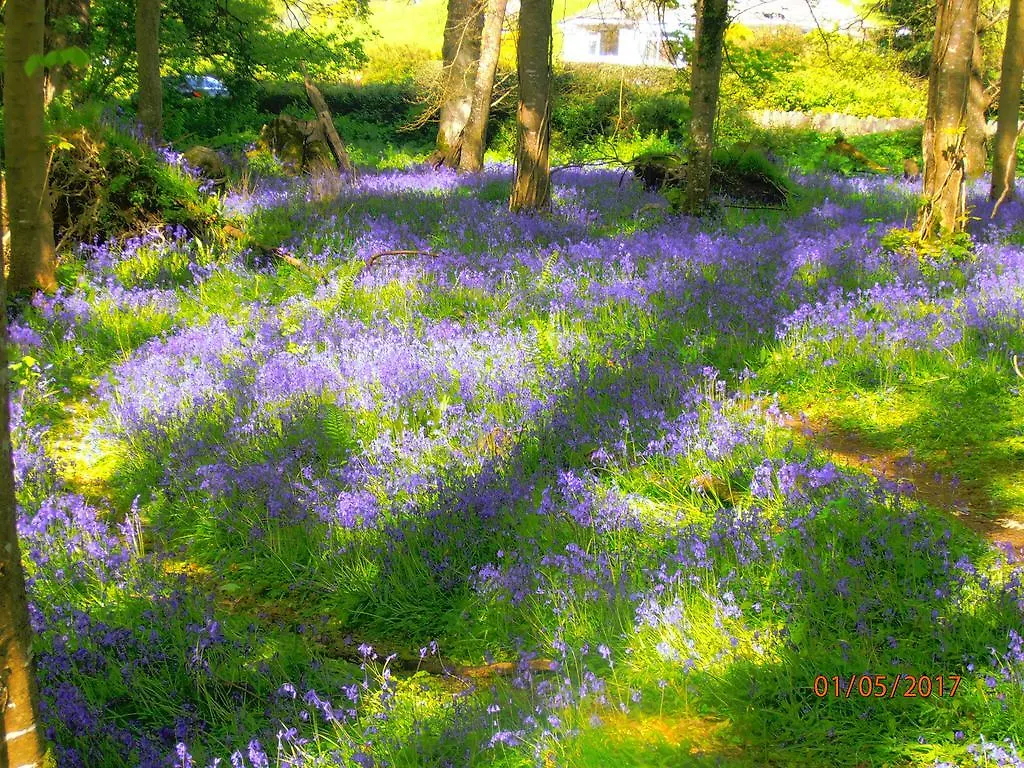 Larkfield House B&B, Ballycasheen Kerry V93 Wd51 Killarney 3*,  Ireland